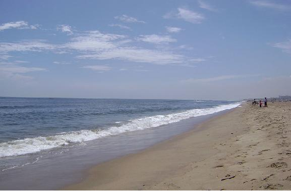 Chennai Marina Beach