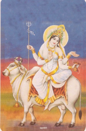 Maha gauri Maha gauri